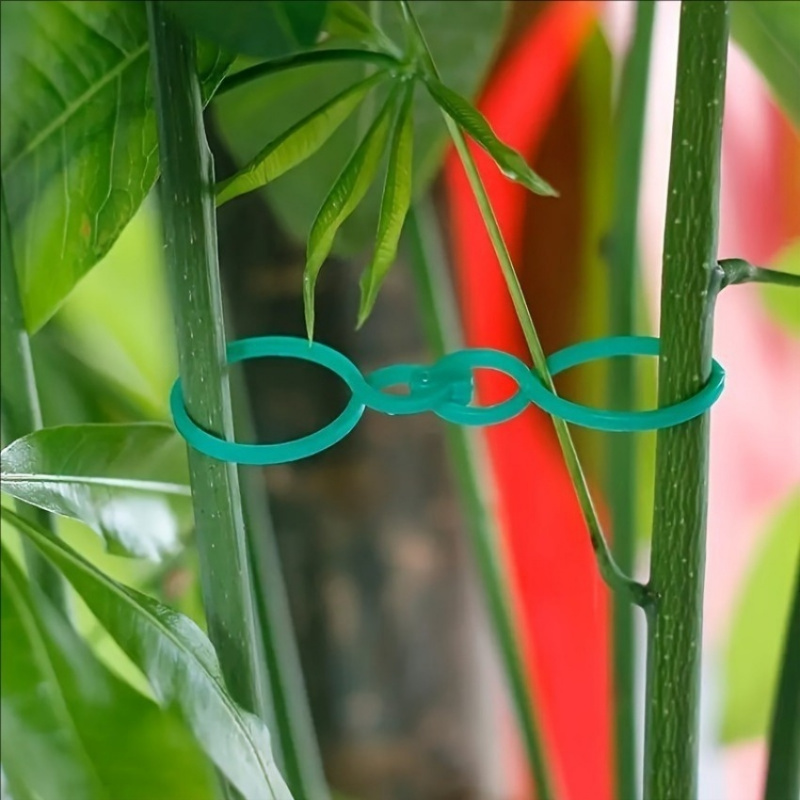 125Pcs Garden Plant Support Ki – Vine Climbing Plastic recenzja i cena