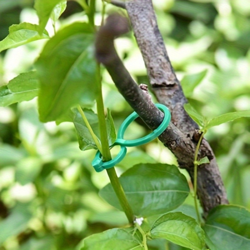 125Pcs Garden Plant Support Ki – Vine Climbing Plastic recenzja i cena