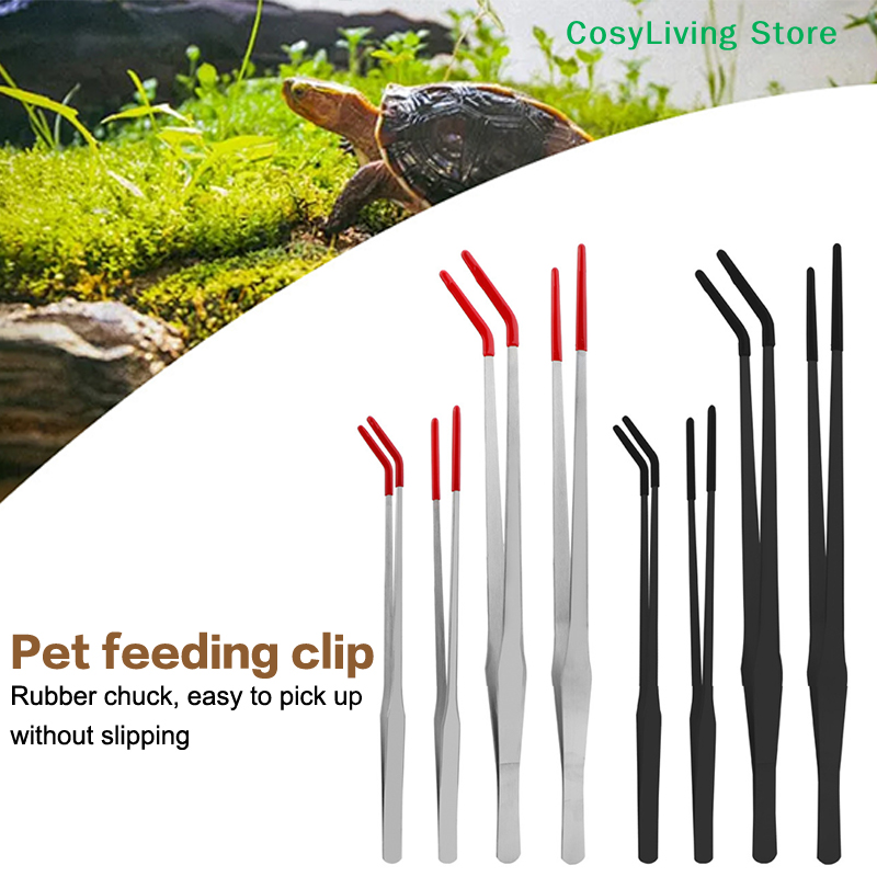 Reptile Feeding Tongs With Rub – Feeding Tong Stainless recenzja i cena