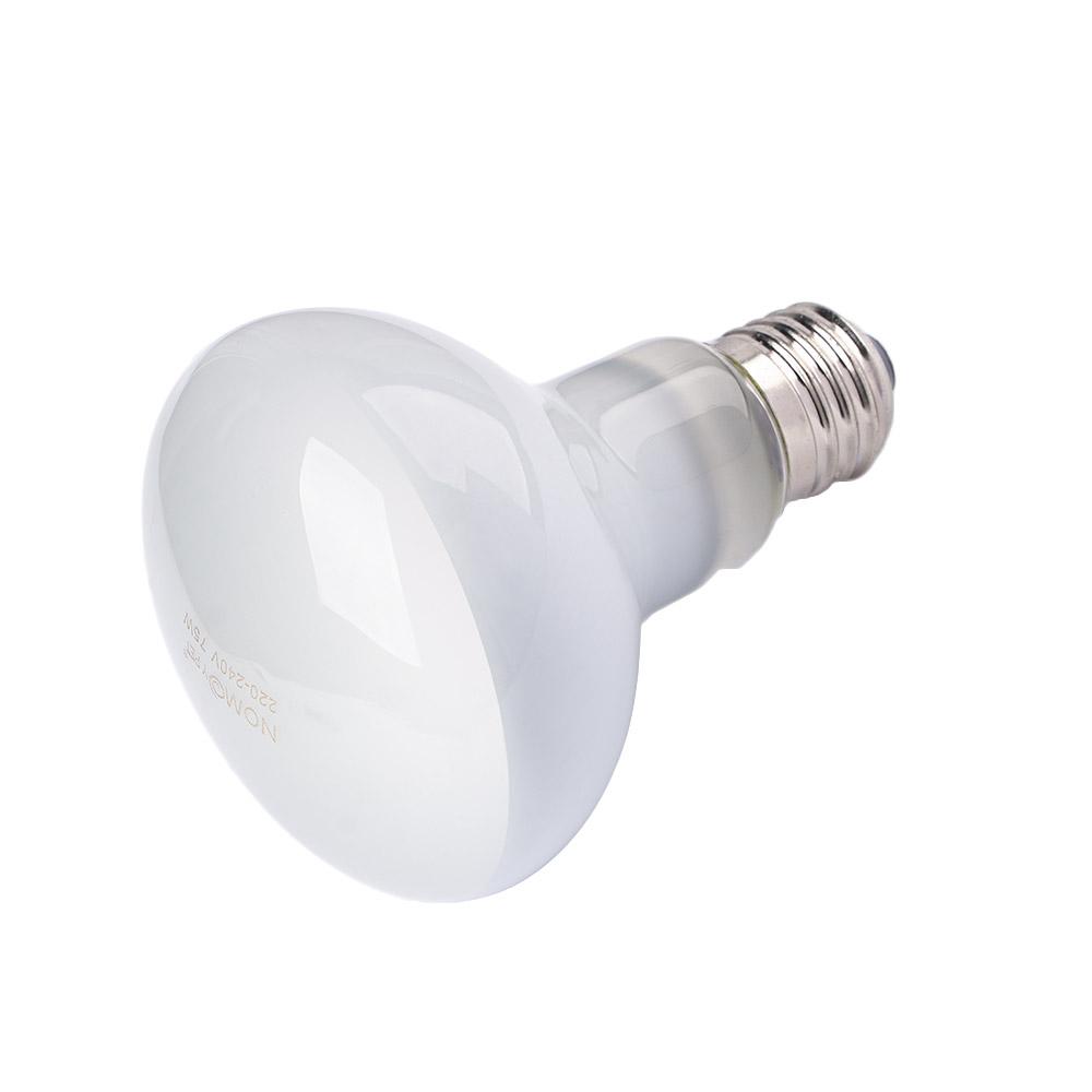 Lizard Heater Temperature Cont – Basking Bulb Halogen recenzja i cena