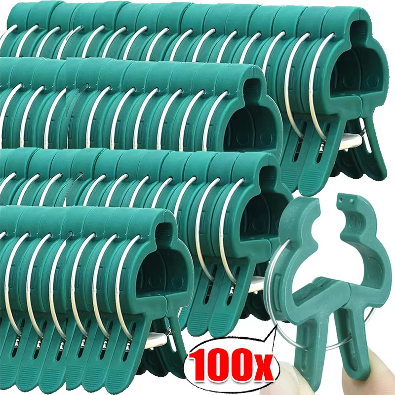 10/100pcs Plant Fixed Clips Re – Vine Climbing Plastic recenzja i cena
