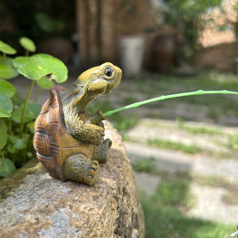 Turtle fishing fish tank aquar – Water Dish Reptile recenzja i cena