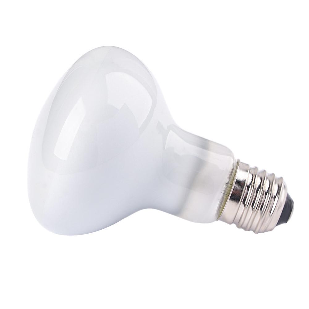 Lizard Temperature Controller  – Basking Bulb Halogen recenzja i cena
