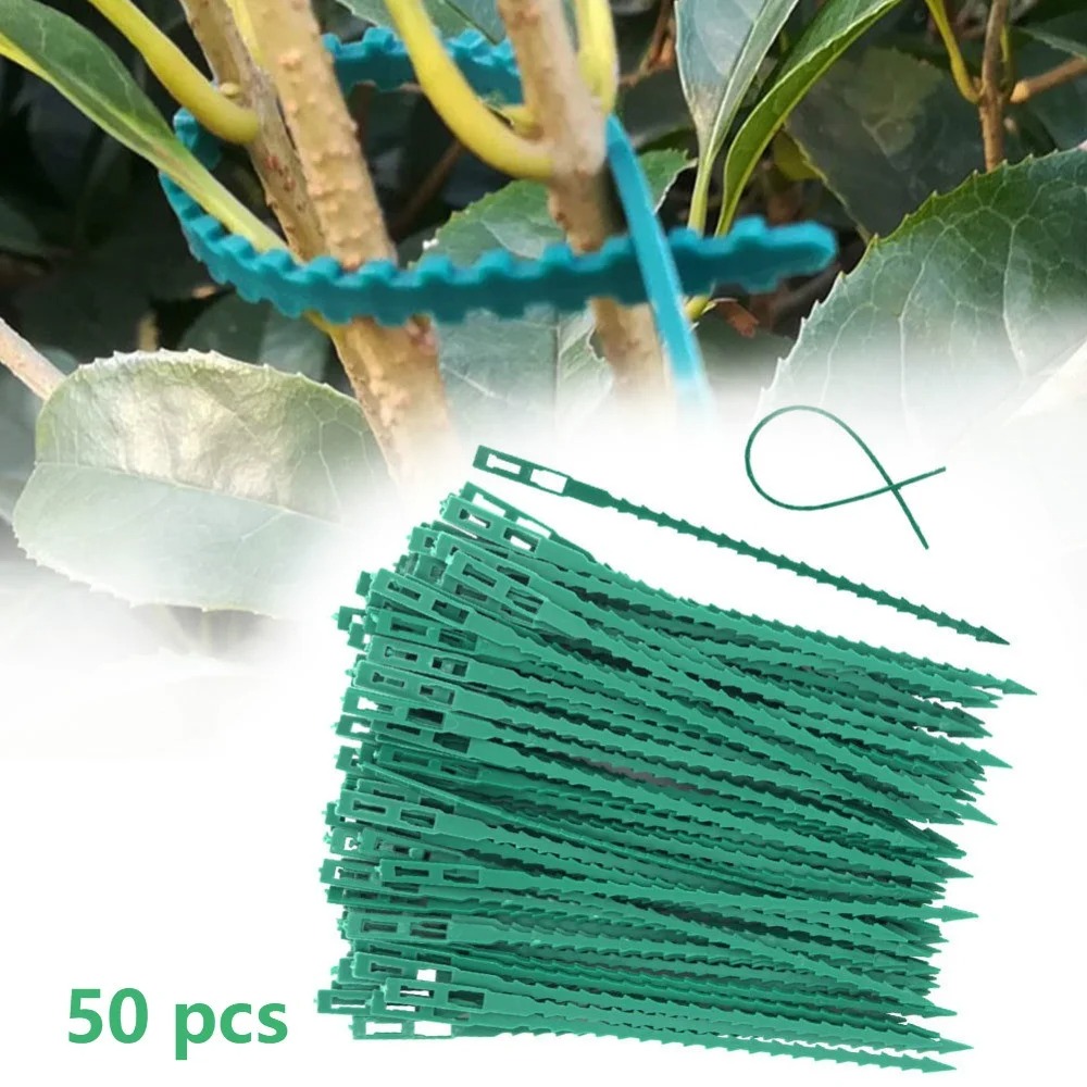 50pcs Adjustable Plastic Plant – Vine Climbing Plastic recenzja i cena
