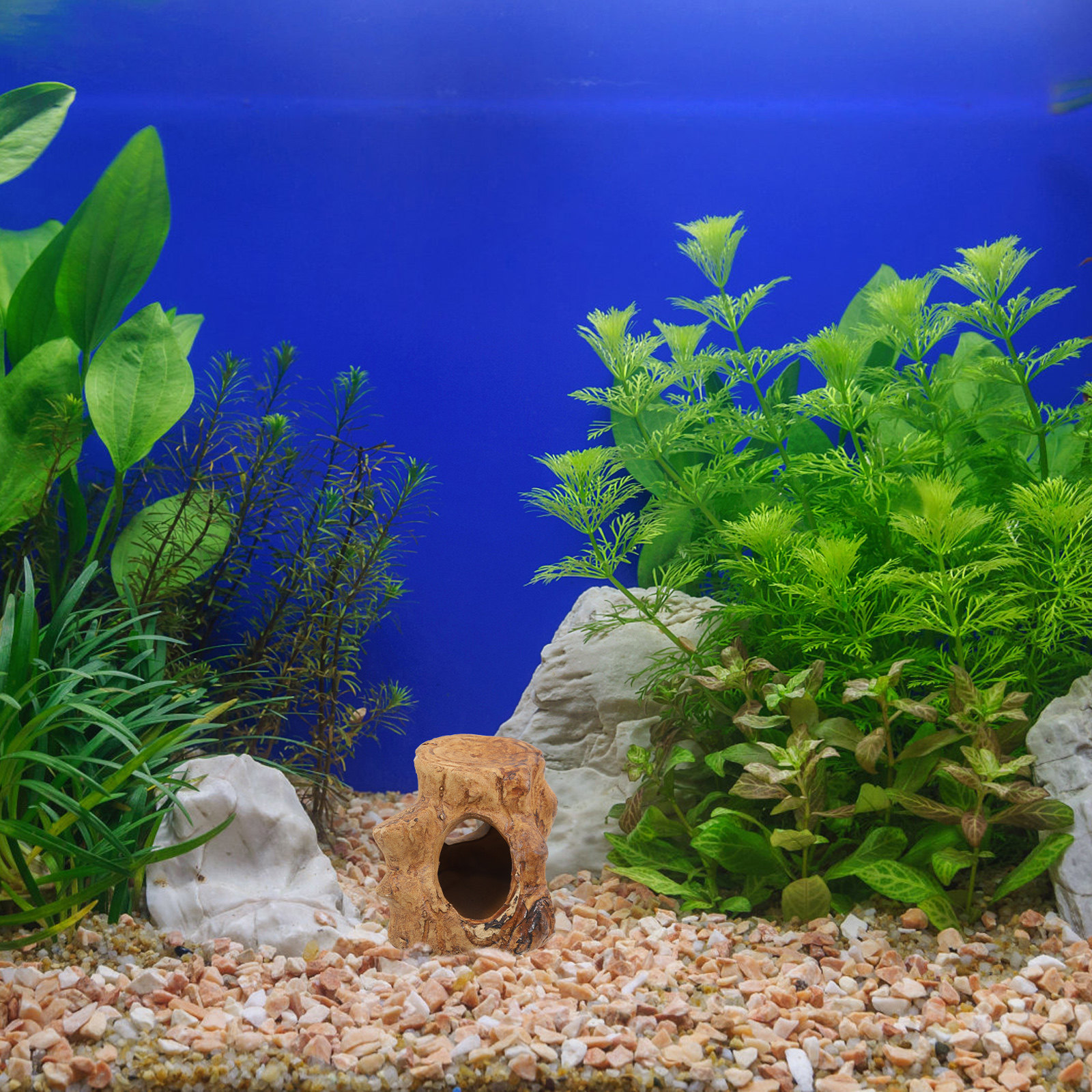 Smooth Ceramic Aquarium Caves  – Hide Cave Ceramic recenzja i cena