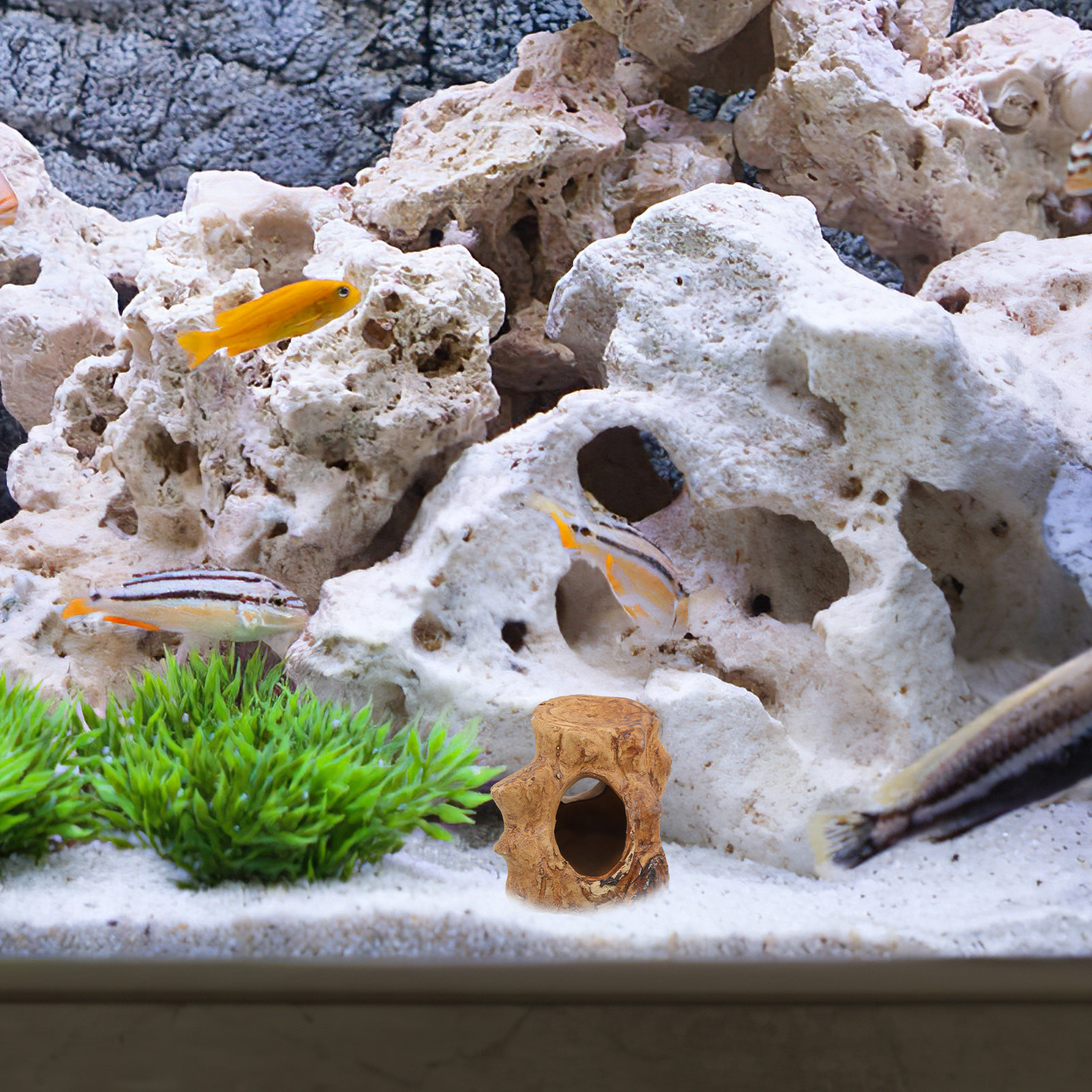 Smooth Ceramic Aquarium Caves  – Hide Cave Ceramic recenzja i cena