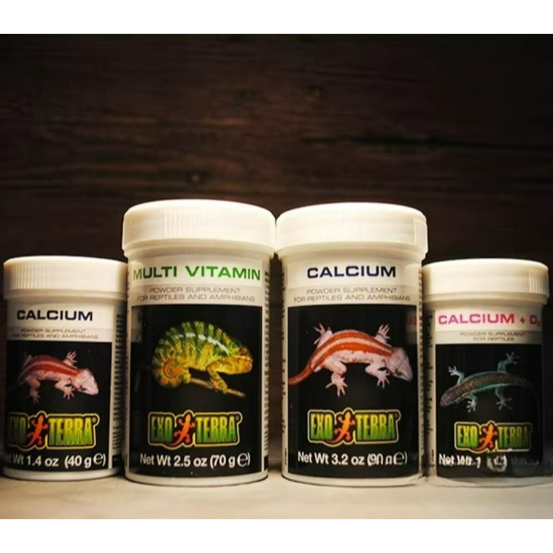 HAGEN Reptile Calcium Powder W – Vitamin D3 Reptile recenzja i cena