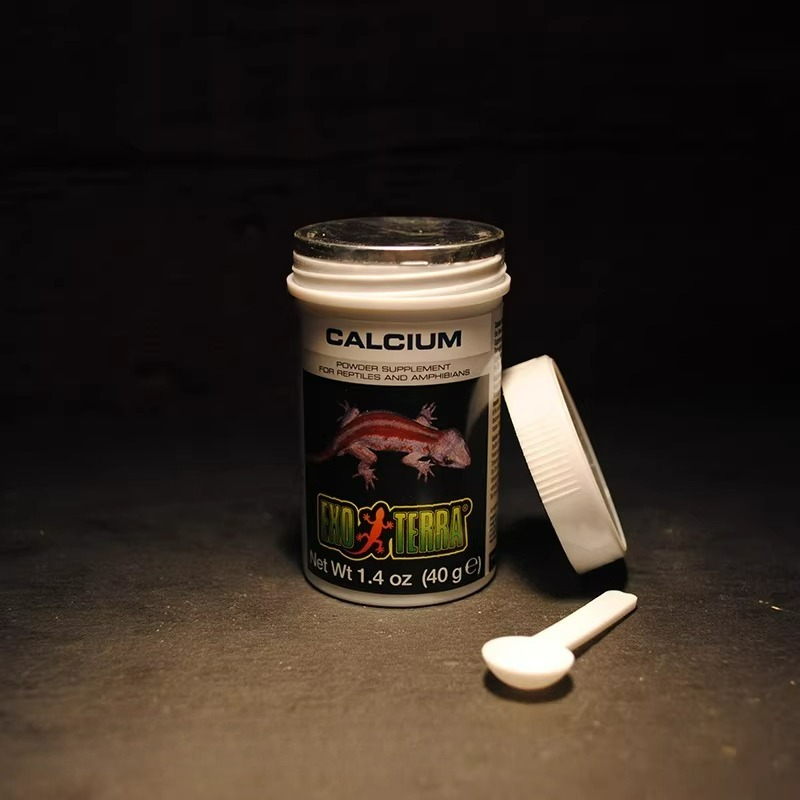 HAGEN Reptile Calcium Powder W – Vitamin D3 Reptile recenzja i cena