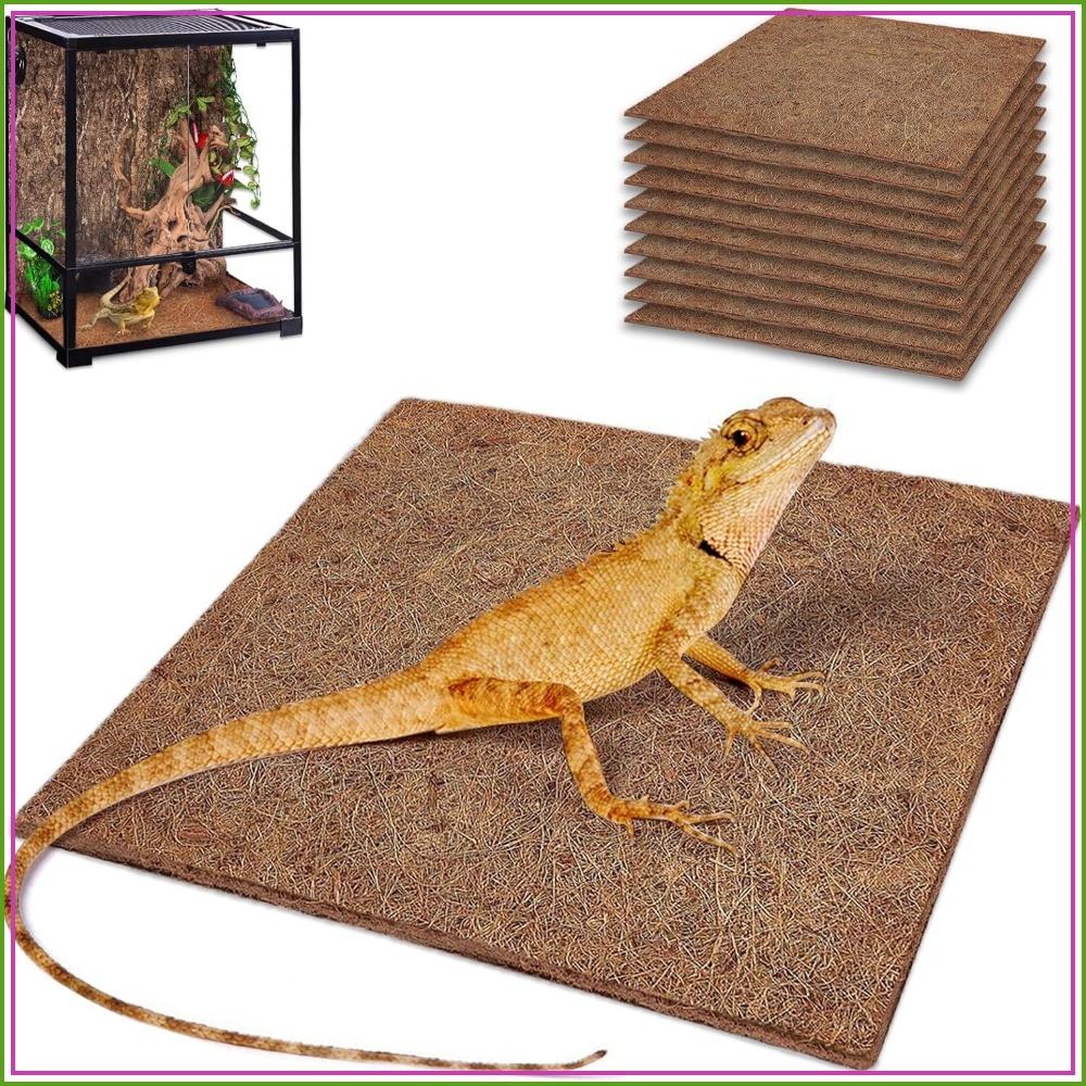 10 Pcs Natural Coconut Fiber R – Substrate Coconut Fiber recenzja i cena