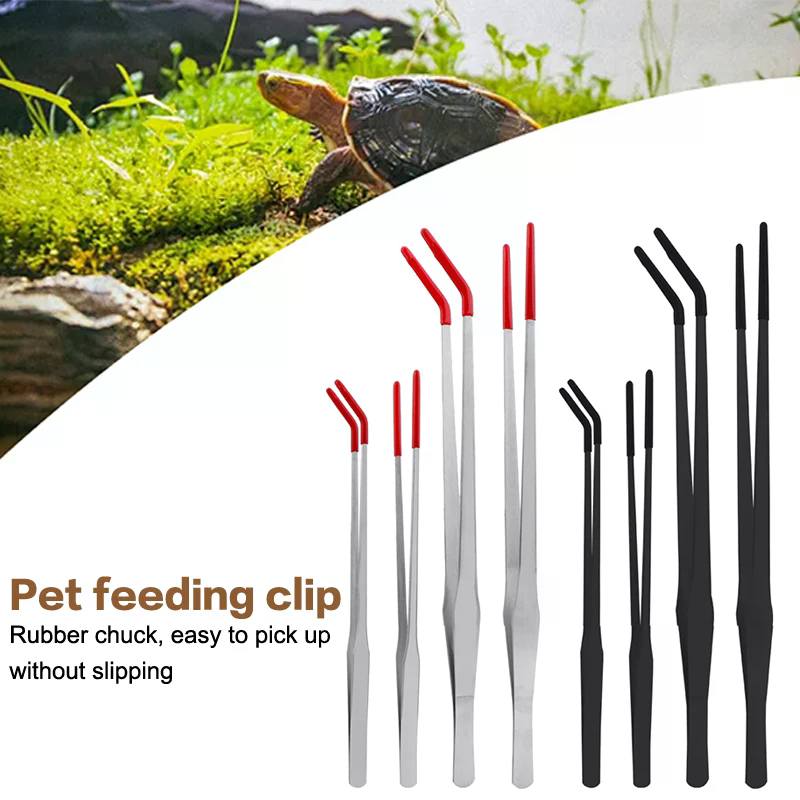 Stainless Steel Reptile Feedin – Feeding Tong Stainless recenzja i cena