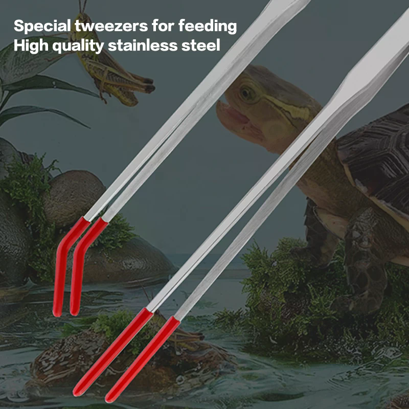 Stainless Steel Reptile Feedin – Feeding Tong Stainless recenzja i cena