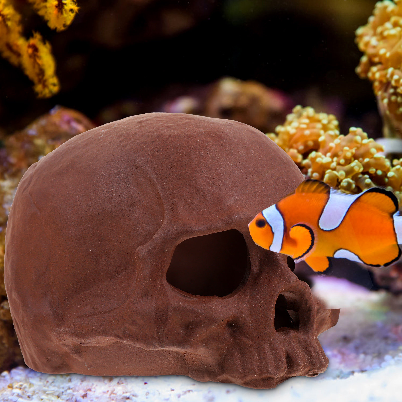 Ceramic Fish Tank Decoration S – Hide Cave Ceramic recenzja i cena
