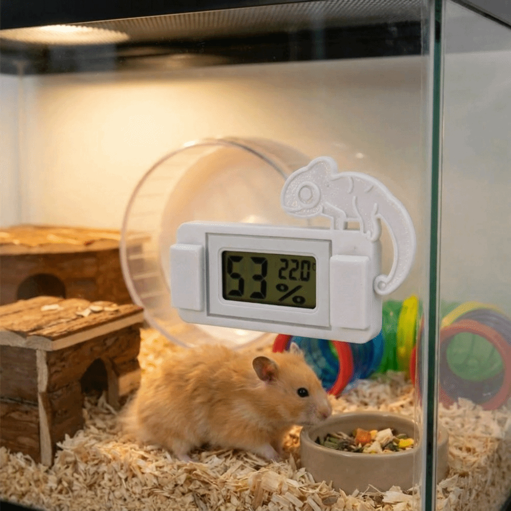 Magnetic LCD Digital Thermomet – Digital Hygrometer Probe recenzja i cena