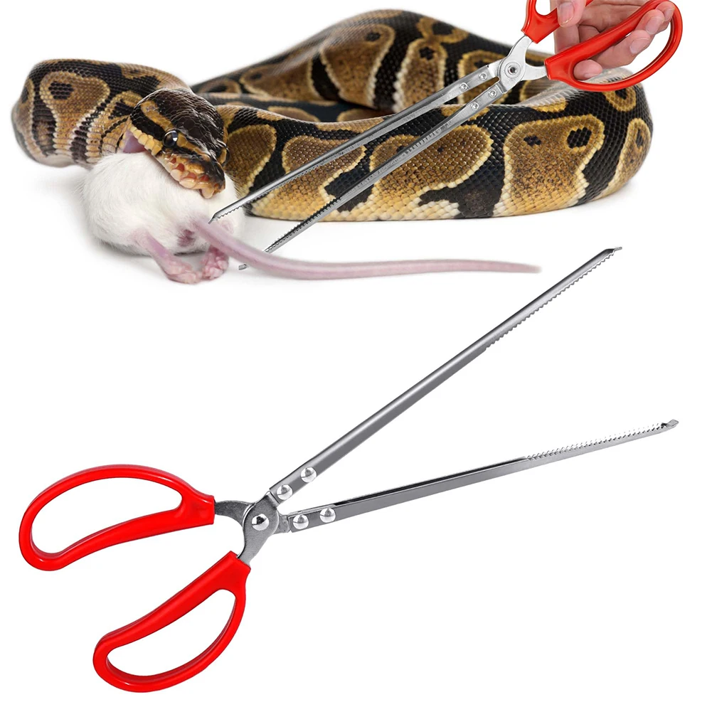 Snake Feeding Tongs Reptile Fe – Water Dish Reptile recenzja i cena