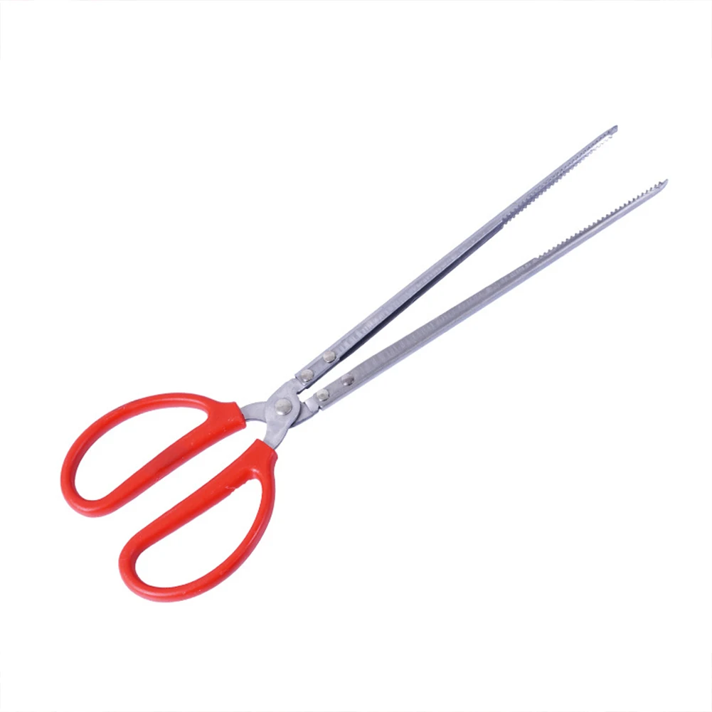 Snake Feeding Tongs Reptile Fe – Water Dish Reptile recenzja i cena
