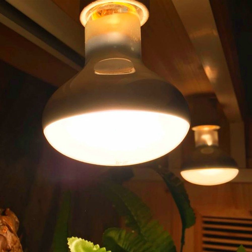 Turtle Temperature Controller  – Basking Bulb Halogen recenzja i cena
