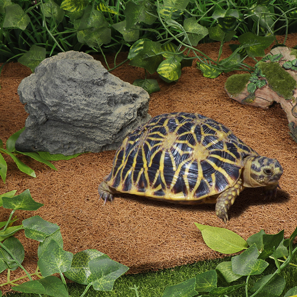 Reptile Terrarium Bedding Subs – Substrate Coconut Fiber recenzja i cena
