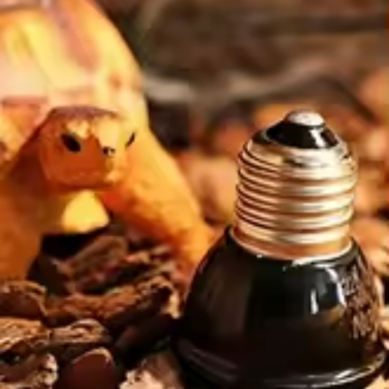 Reptile Ceramic Heat Emitter M – Ceramic Heat Emitter recenzja i cena
