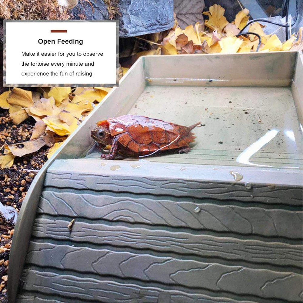 Turtle Bathing Pool Feeding Di – Water Dish Reptile recenzja i cena