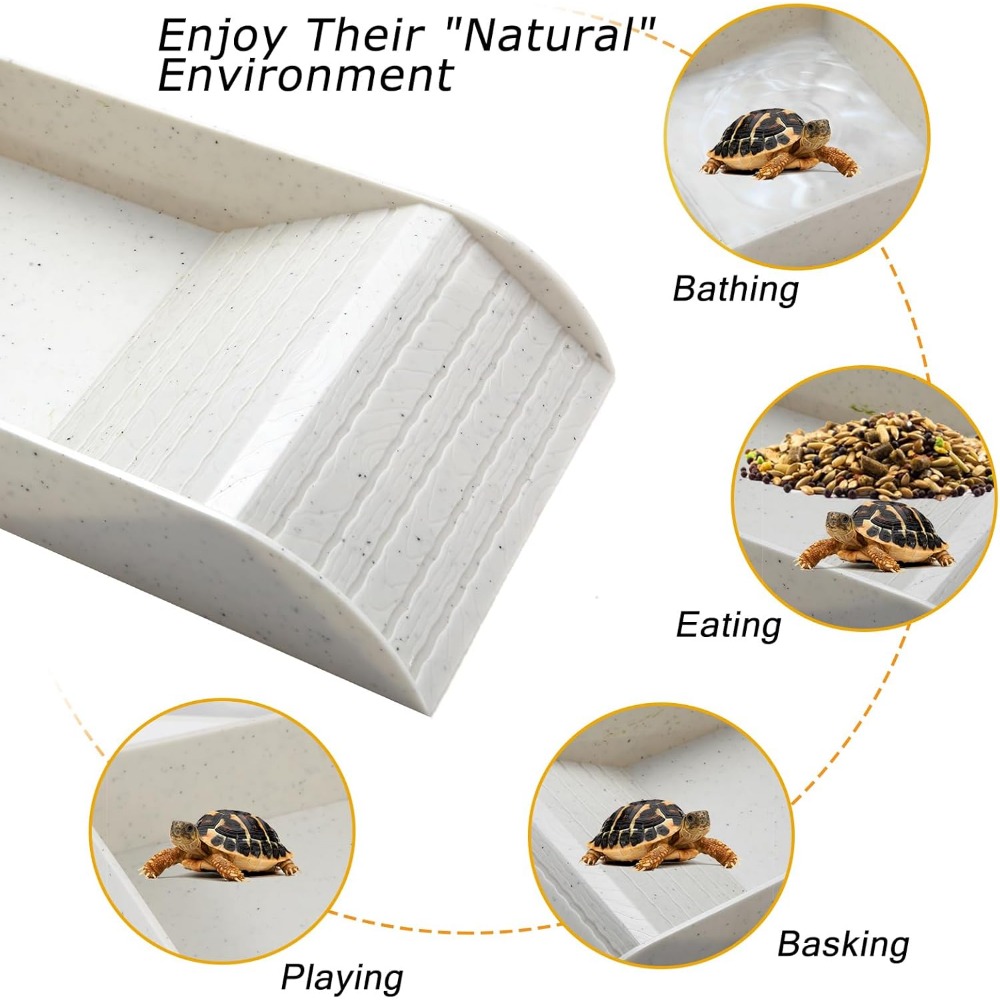 Turtle Bathing Pool Feeding Di – Water Dish Reptile recenzja i cena