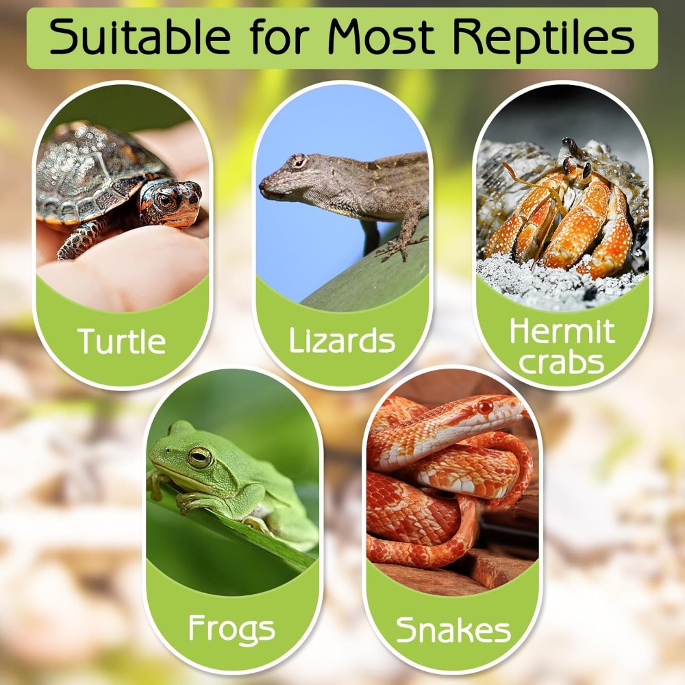 Turtle Bathing Pool Feeding Di – Water Dish Reptile recenzja i cena