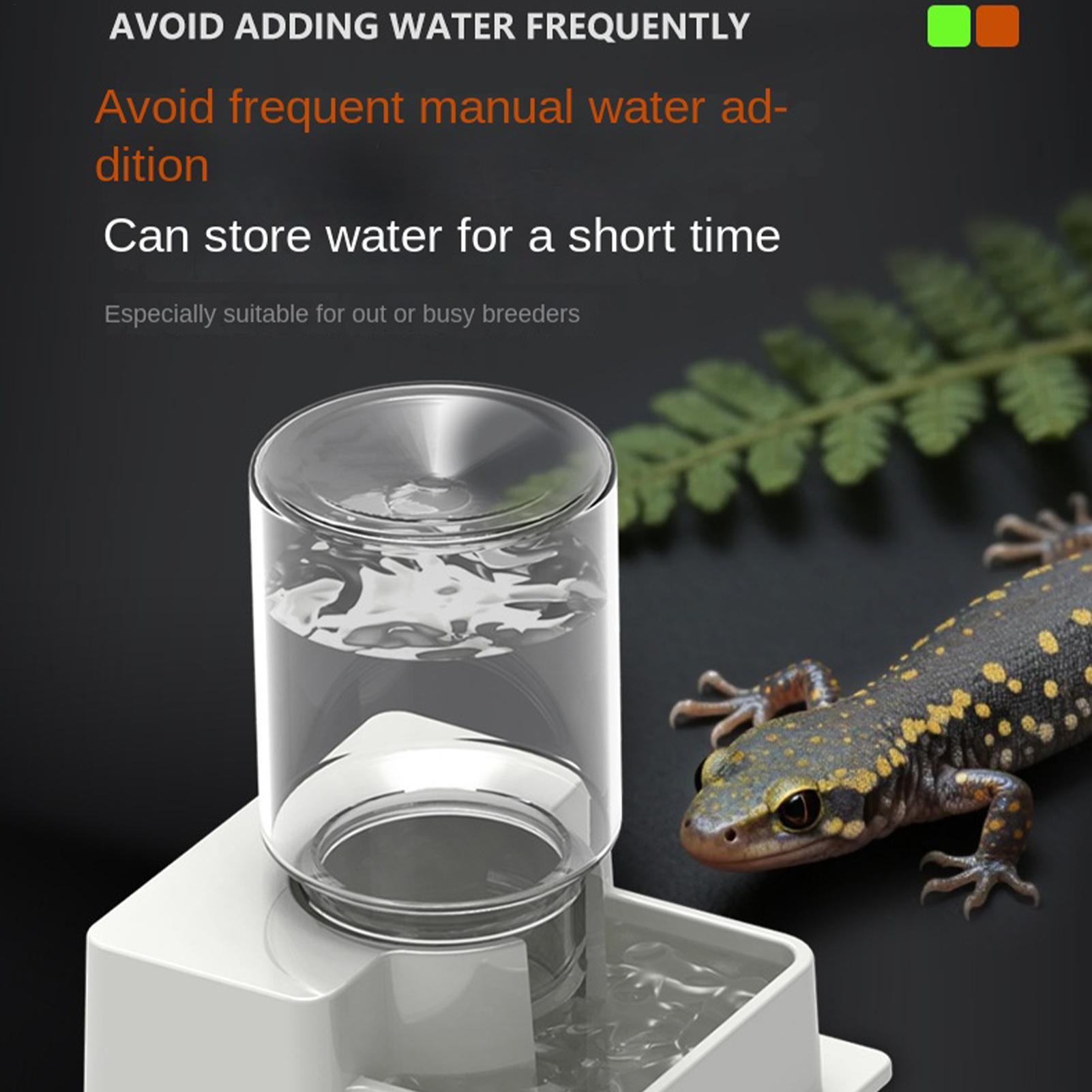 Bearded Dragon Water Fountain  – Water Dish Reptile recenzja i cena