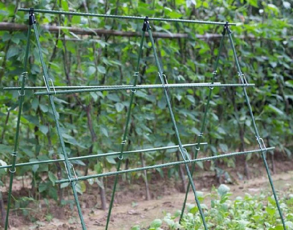 Diameter 8/11/16mm Plant Suppo – Vine Climbing Plastic recenzja i cena