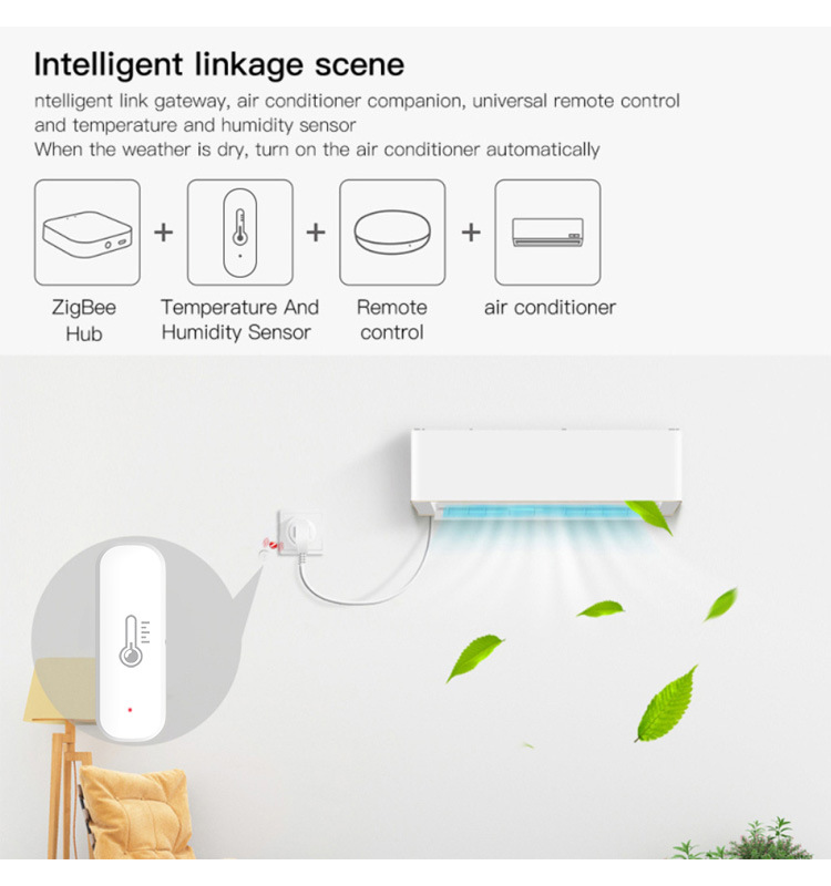 eWeLink Smart ZigBee Temperatu – Digital Hygrometer Probe recenzja i cena