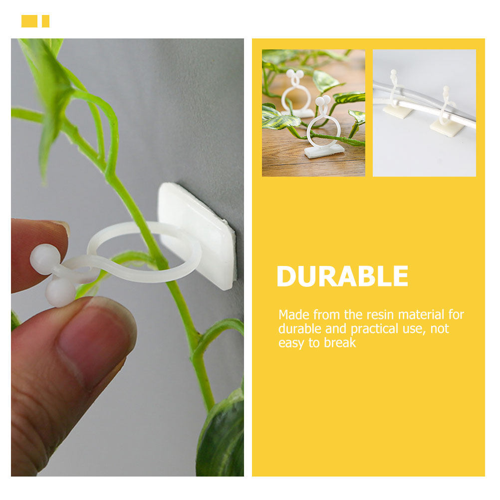 100Pcs Plant Climbing Wall Fix – Vine Climbing Plastic recenzja i cena