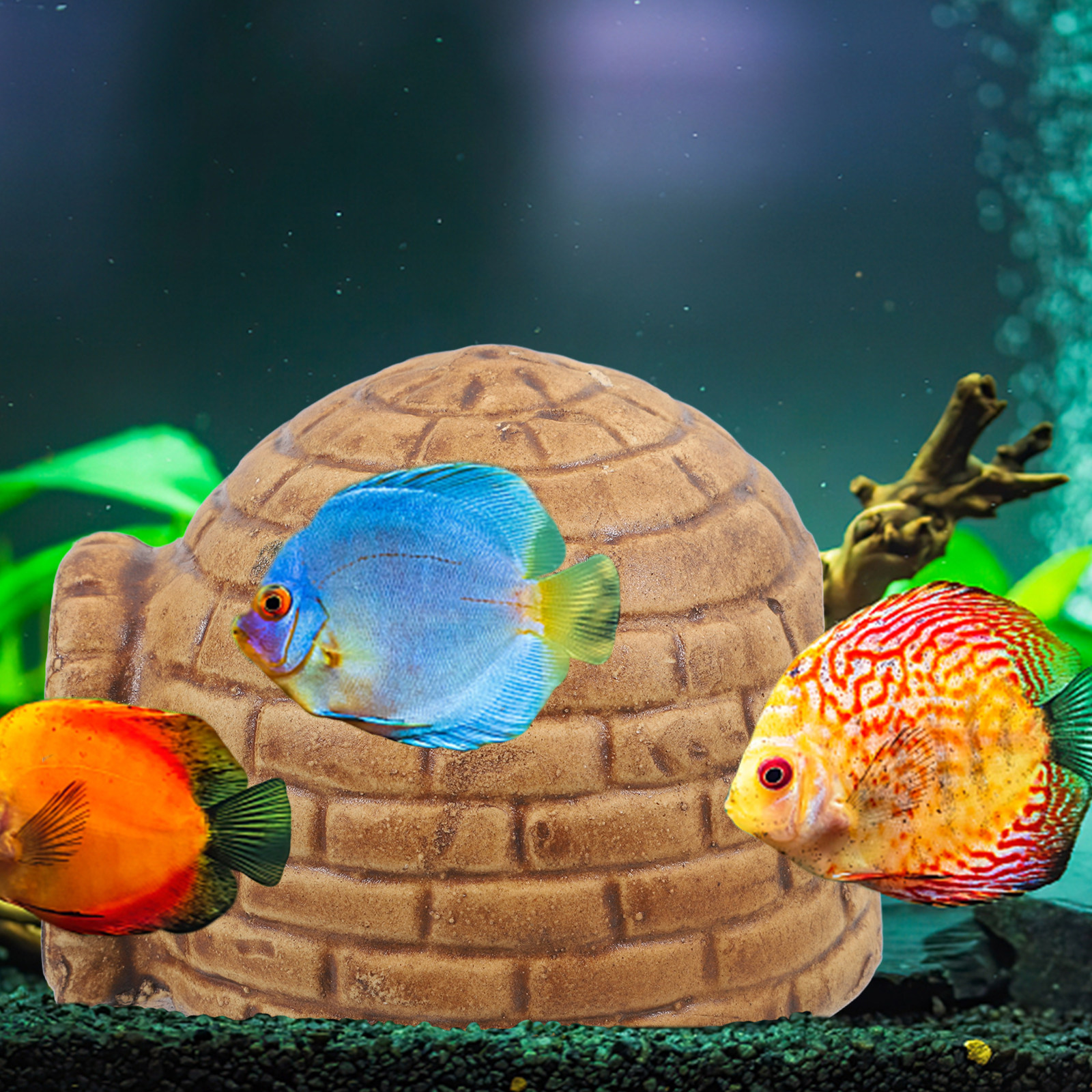 Pleco Caves for Aquarium Durab – Hide Cave Ceramic recenzja i cena