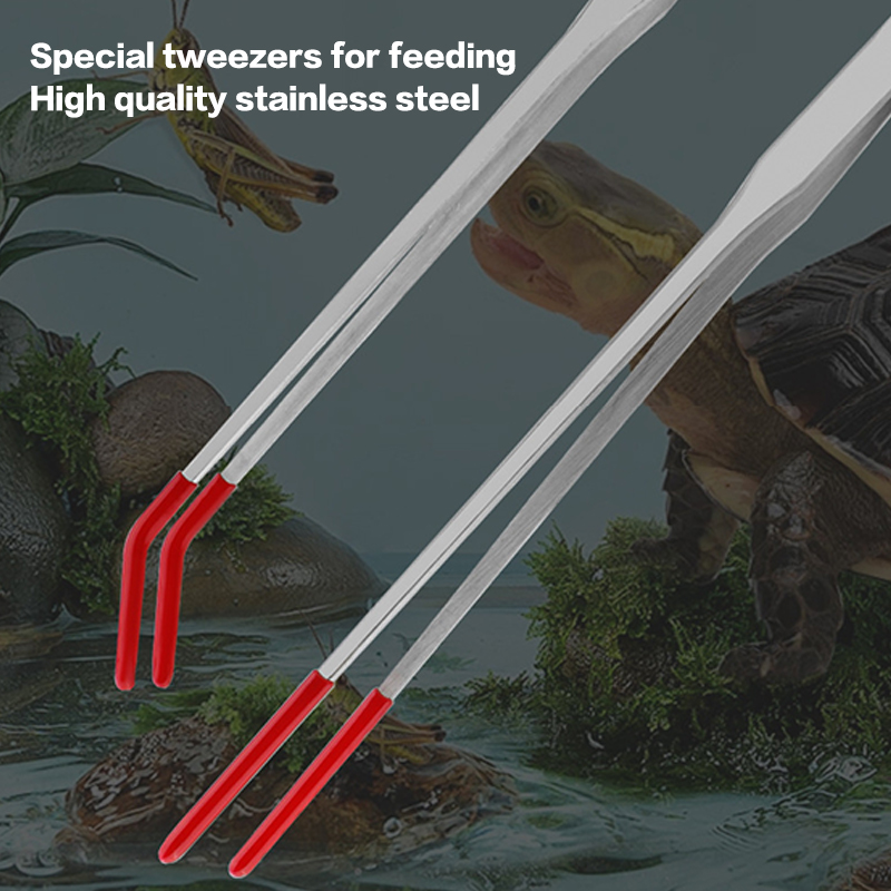 Stainless Steel Reptile Feedin – Feeding Tong Stainless recenzja i cena
